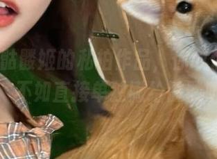 roroki骷髅姬的私拍作品，你敢信这是礼服，不如直接单独撇给骷髅听？