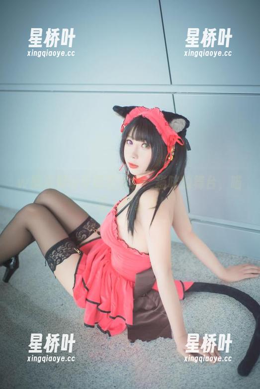 w黑米粥w专属猫全集：猫咪的舞台，喵星人的聚会!