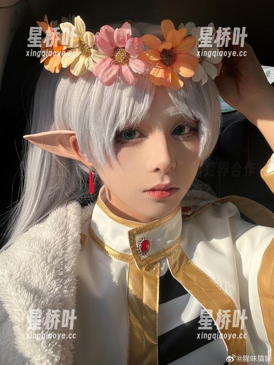 腥味猫罐 腥味猫罐与“禁闭者艾瑞尔”的跨界合作,美图合集萌翻了有木有?